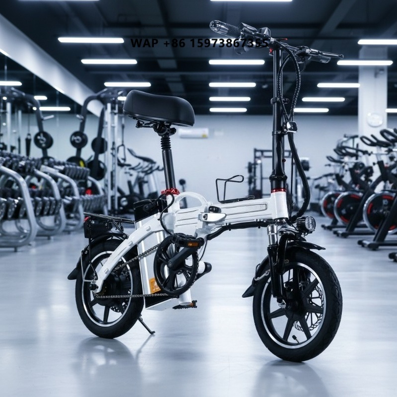 Commuting With Bike - Bicicleta Eléctrica Plegable Mini, Suministro de